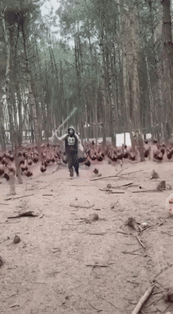Сборник анимаций. Кайф!