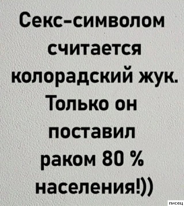Все прикольные цитаты. Голосуйте!