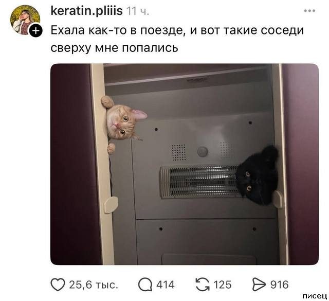 Суперприколы из социальных сетей. Кайфушки!