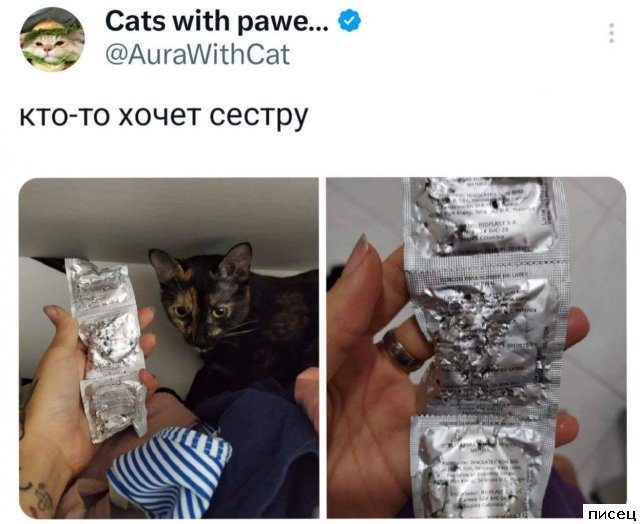 25 июльских приколов из социальных сетей. Ржунимагу!