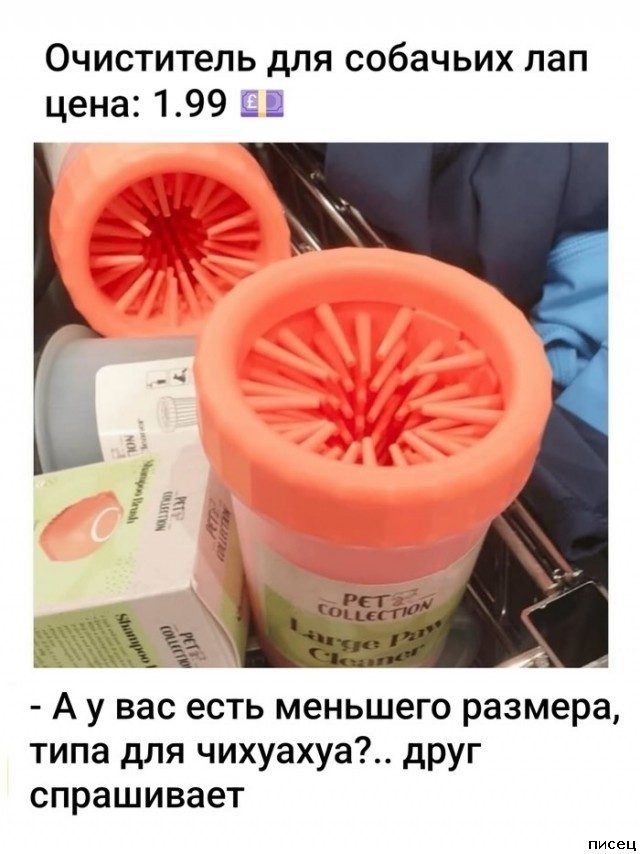 25 июльских приколов из социальных сетей. Ржунимагу!