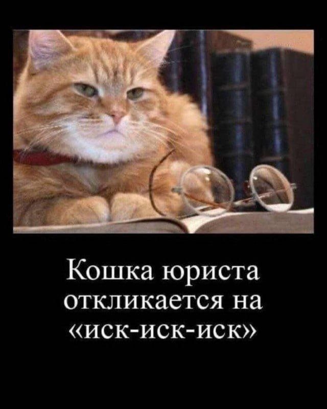 Все прикольные Демотиваторы
