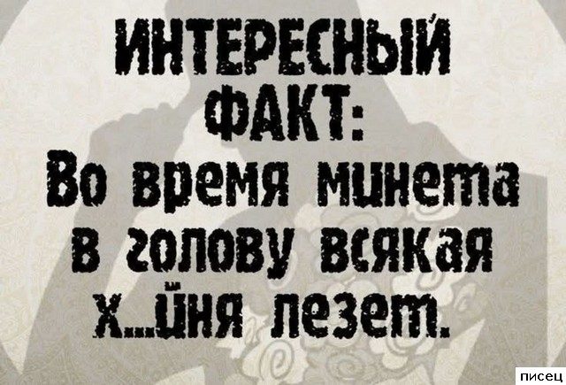 Все прикольные цитаты. Шикардос!