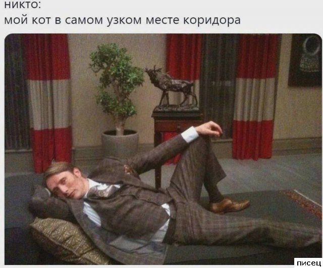 Все приколы Июля. Финал