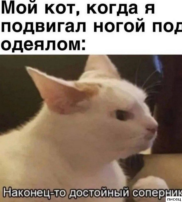 Все приколы Июля. Финал