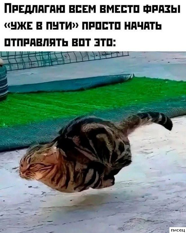 Все приколы Июля. Финал