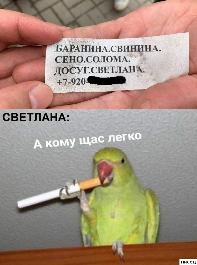 Все приколы Июля. Финал