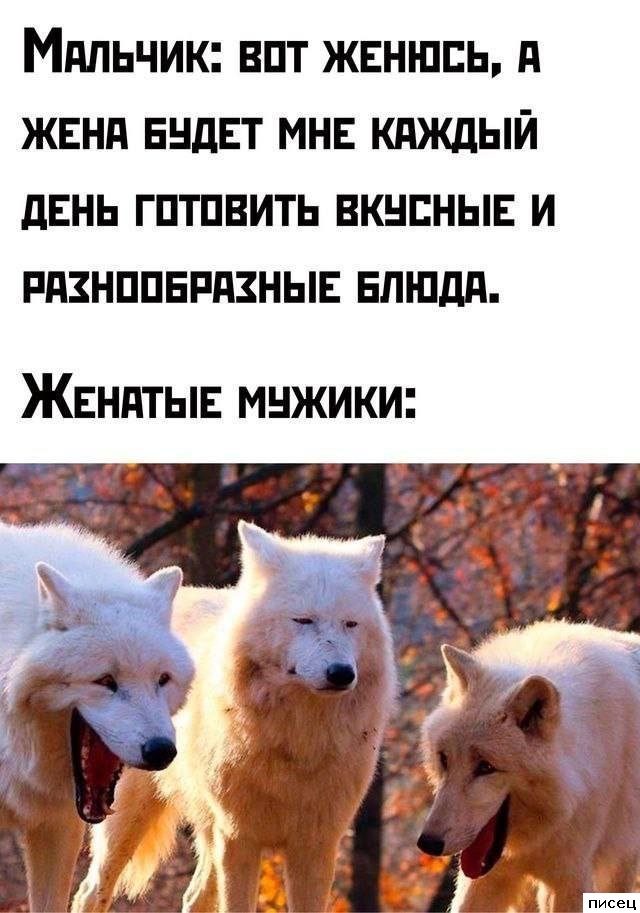 Мужские приколы. Моя любимая подборка!