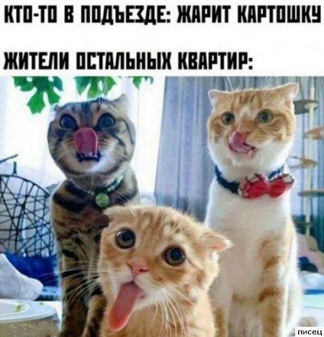 Все приколы Июля. Финал
