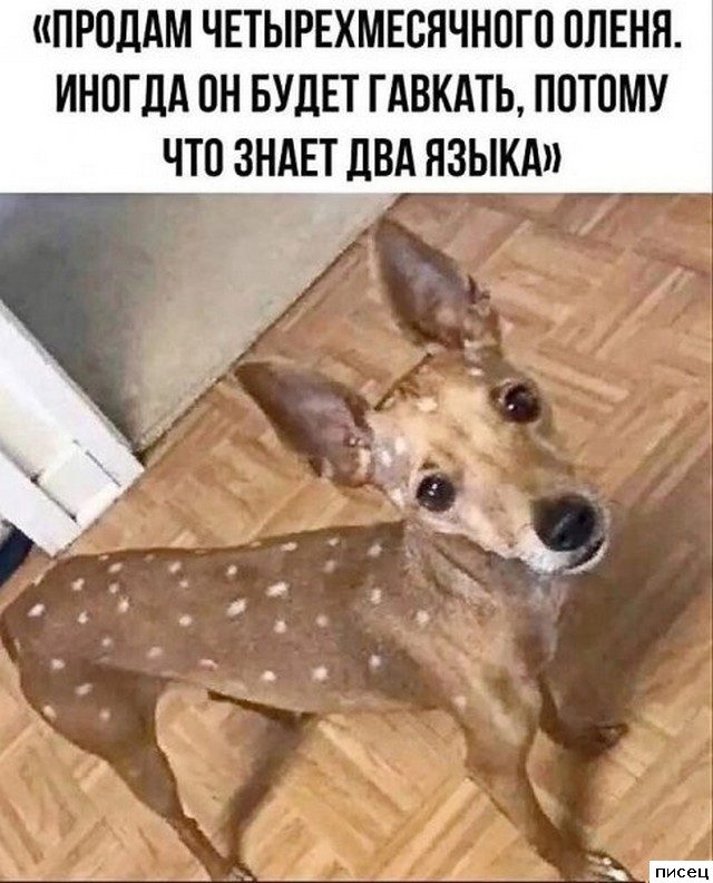 Все приколы Июля. Финал