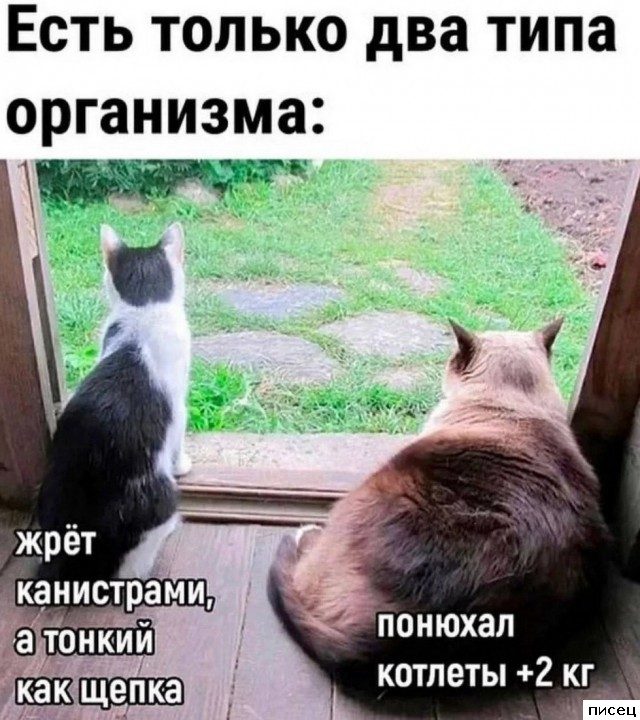 19 весёлых примеров, чем женщины отличаются от мужчин