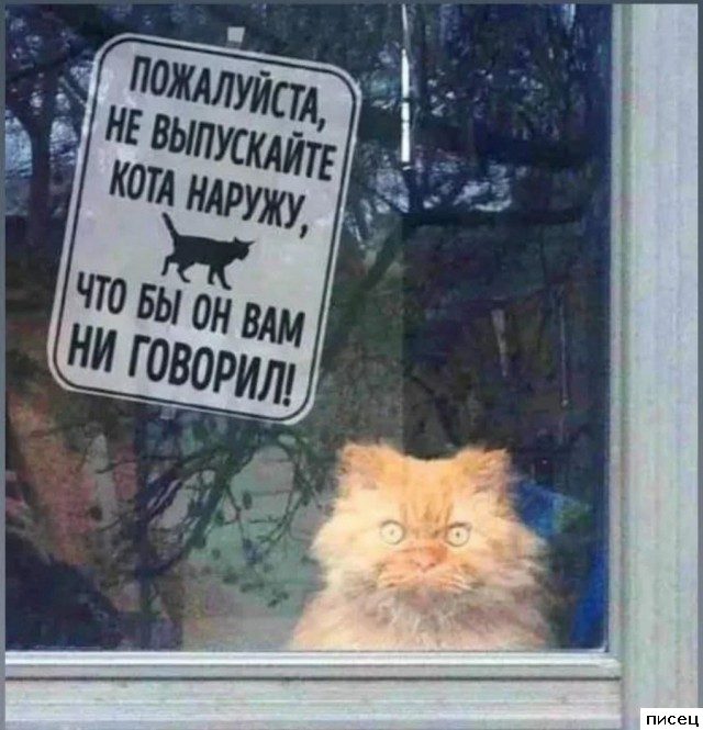19 ярких примеров, когда &quot;кратко, чётко и понятно&quot;