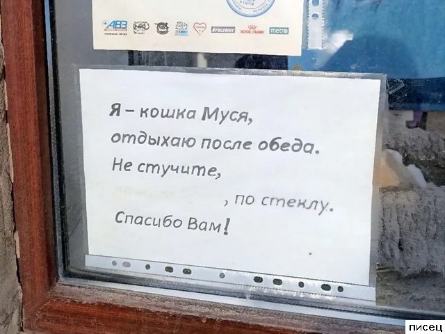 19 ярких примеров, когда &quot;кратко, чётко и понятно&quot;