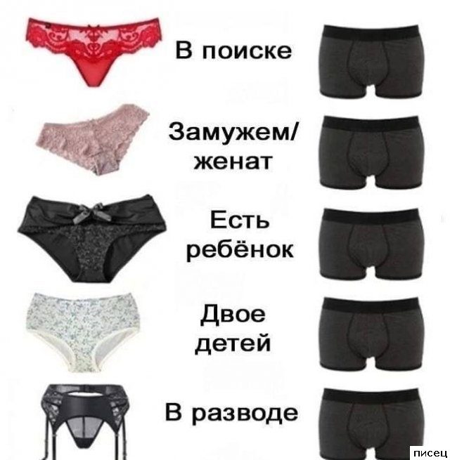 19 весёлых примеров, чем женщины отличаются от мужчин