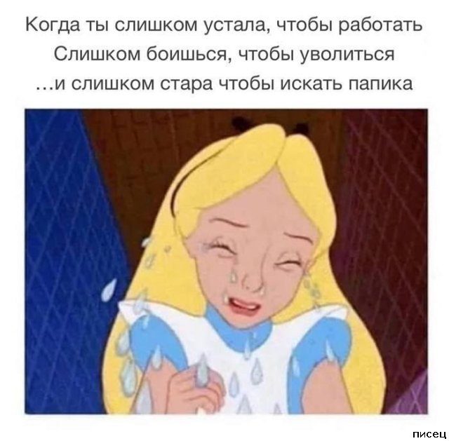 Ржачный сборник приколов в стиле «Когда...»