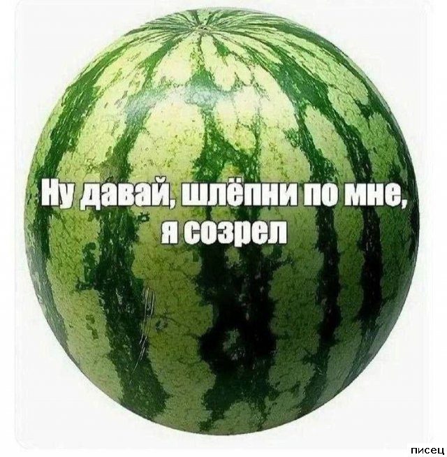 Смехотерапия Писца. Шикарная комедия!