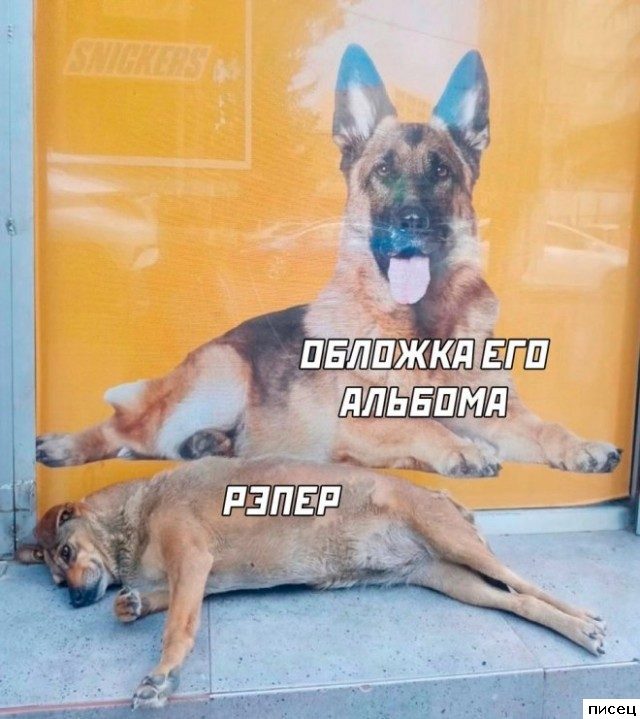 19 весёлых примеров, чем женщины отличаются от мужчин