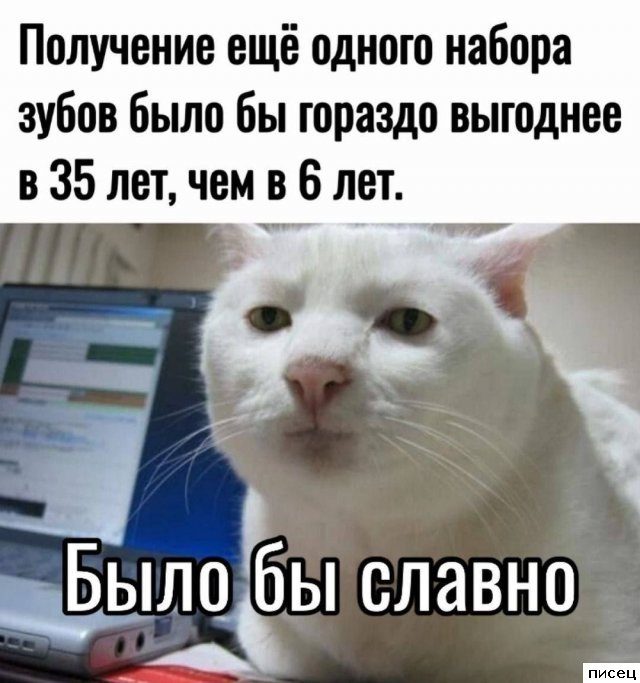 Смехотерапия Писца. Шикарная комедия!