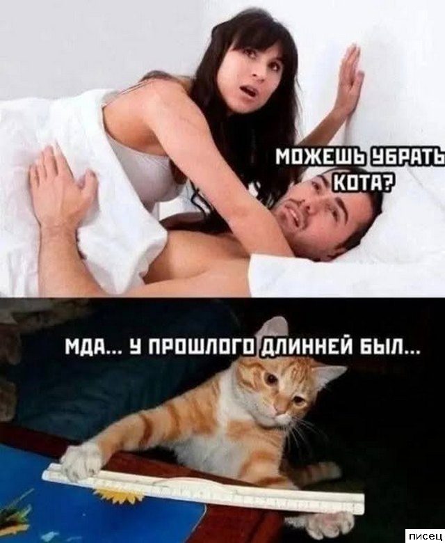 Смехотерапия Писца. Приколы дня!