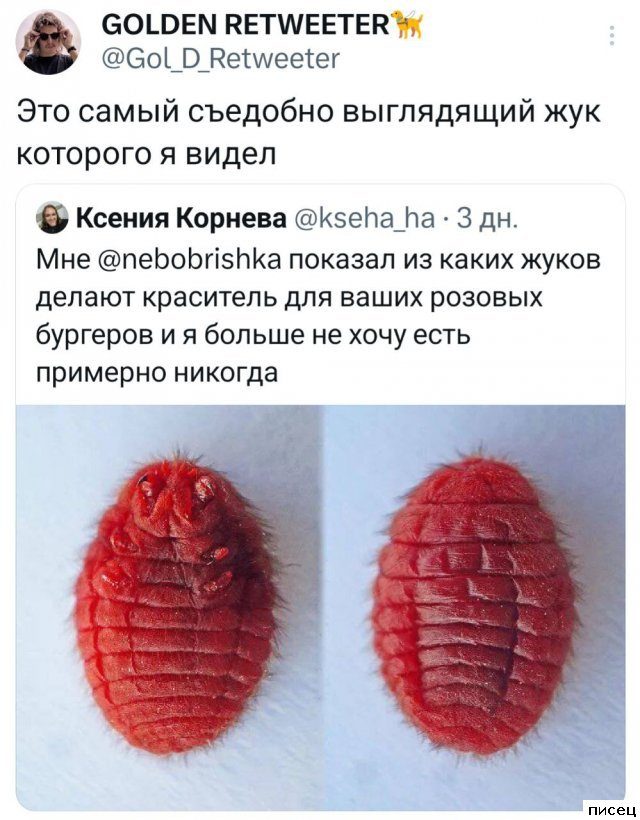 Суперприколы из социальных сетей. Ржунимагу!