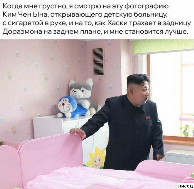 Замечательный сборник приколов в стиле «Когда...»