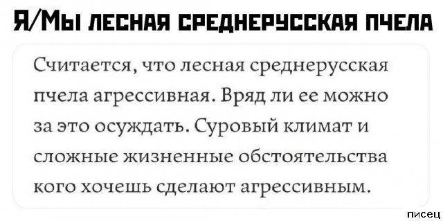 Все приколы интернета. Кайф!