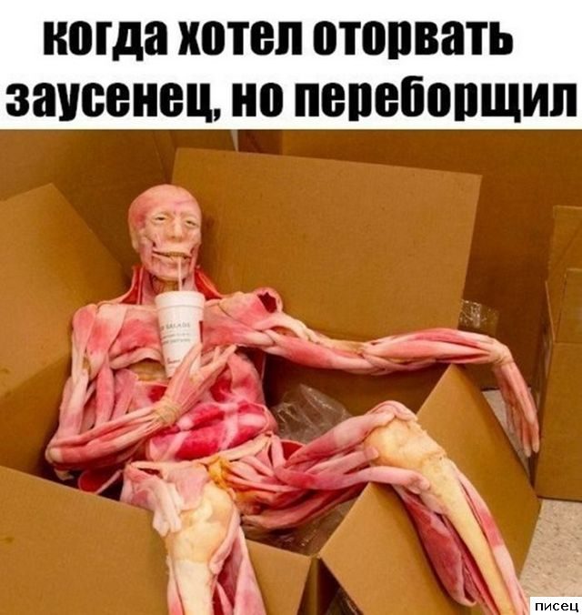 Замечательный сборник приколов в стиле «Когда...»