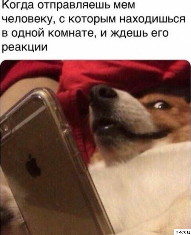 Замечательный сборник приколов в стиле «Когда...»