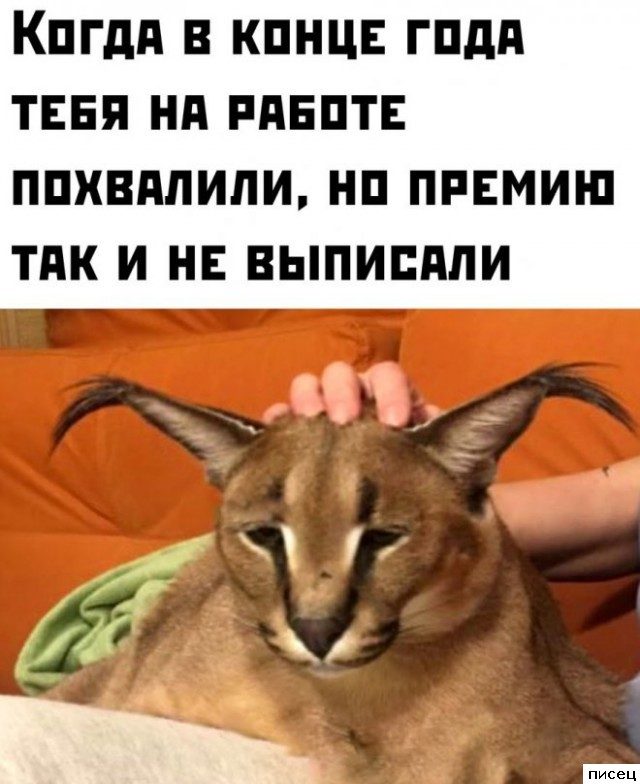 Все рабочие приколы. Великолепно!