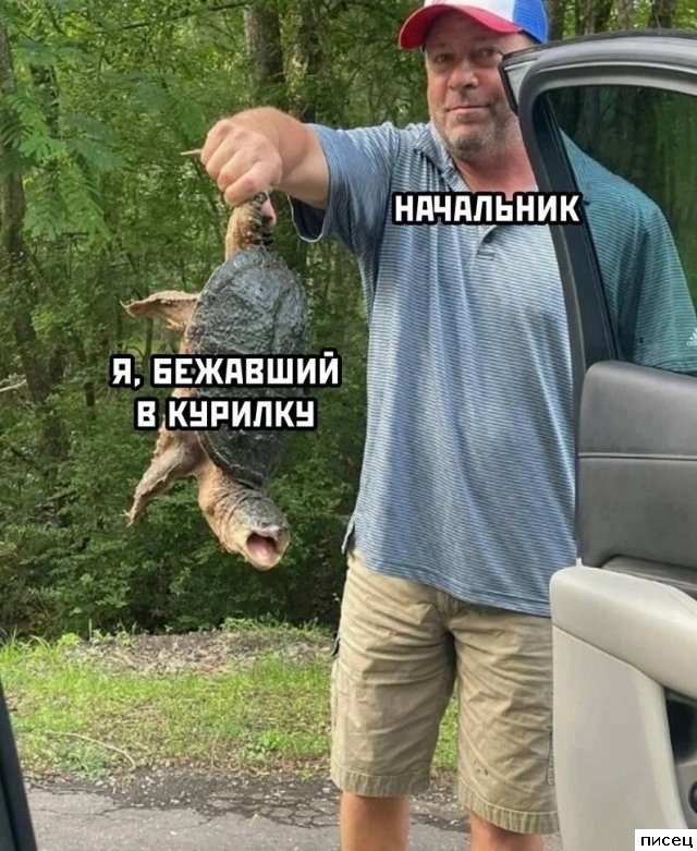 Все рабочие приколы. Великолепно!
