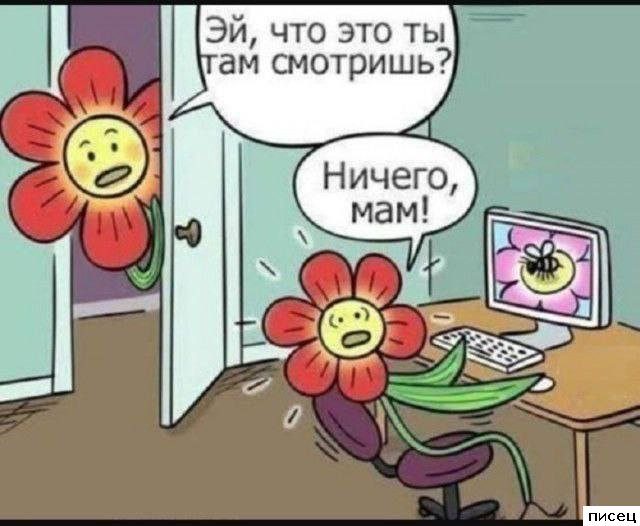 Все приколы Августа. Ржака дня!