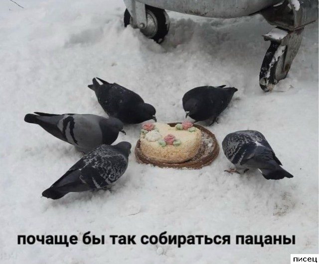Все приколы Августа. Ржака дня!