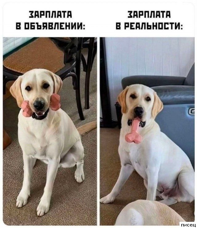 Все рабочие приколы. Великолепно!