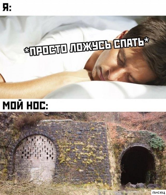 Смехотерапия Писца. Это фантастика!