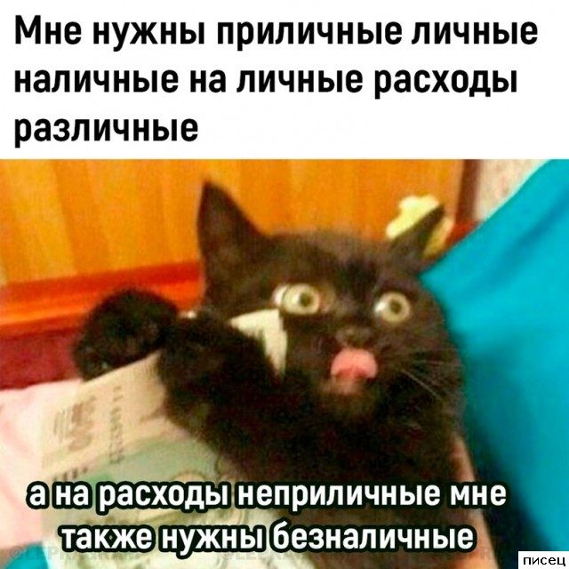 Смехотерапия Писца. Это фантастика!