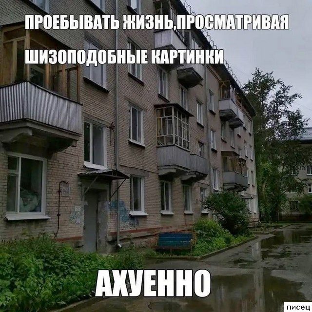 Смехотерапия Писца. Это фантастика!