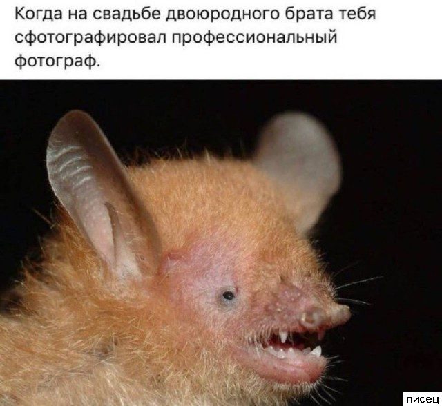 Убойный сборник приколов в стиле «Когда...»