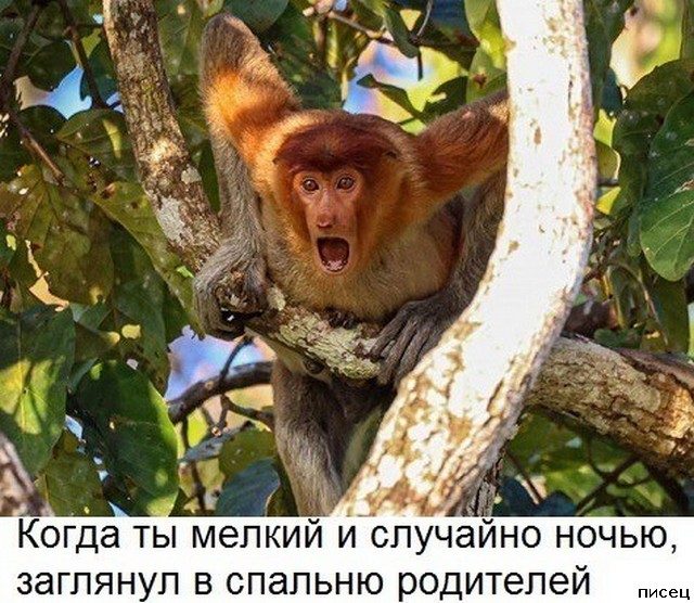 Убойный сборник приколов в стиле «Когда...»