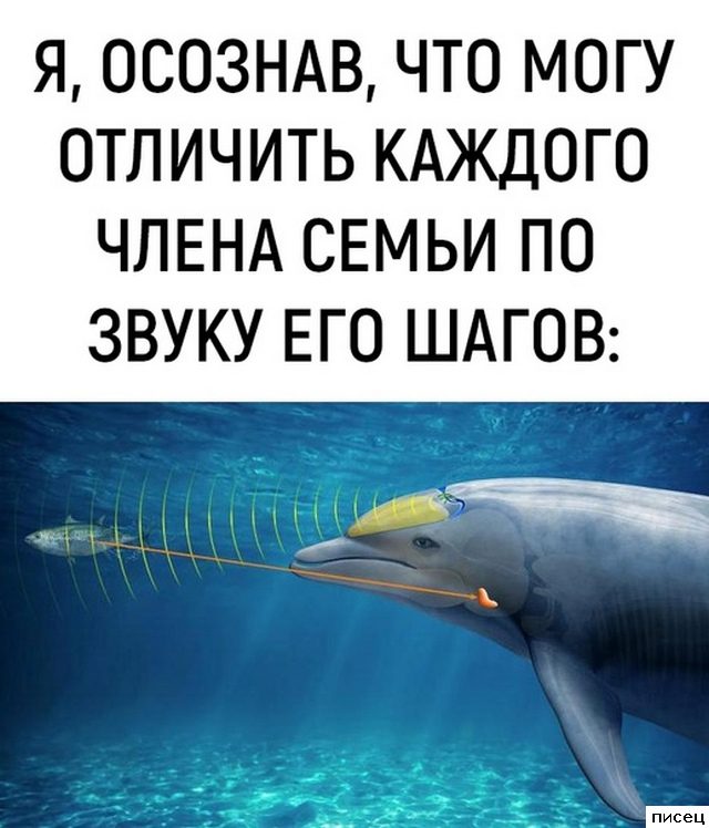 Все приколы интернета. Я тащусь!