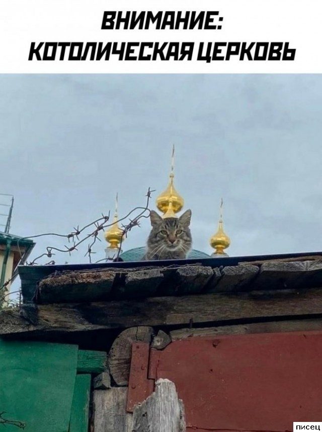 Все приколы интернета. Я тащусь!
