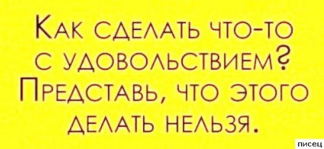 Прикольные цитаты дня