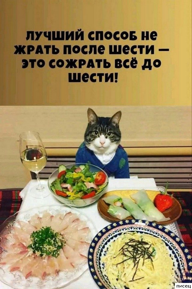 Прикольные цитаты дня