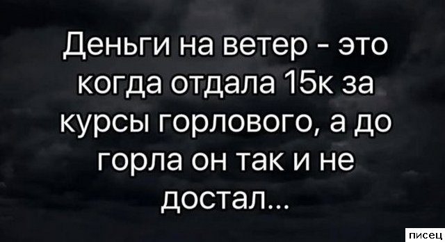 Прикольные цитаты дня