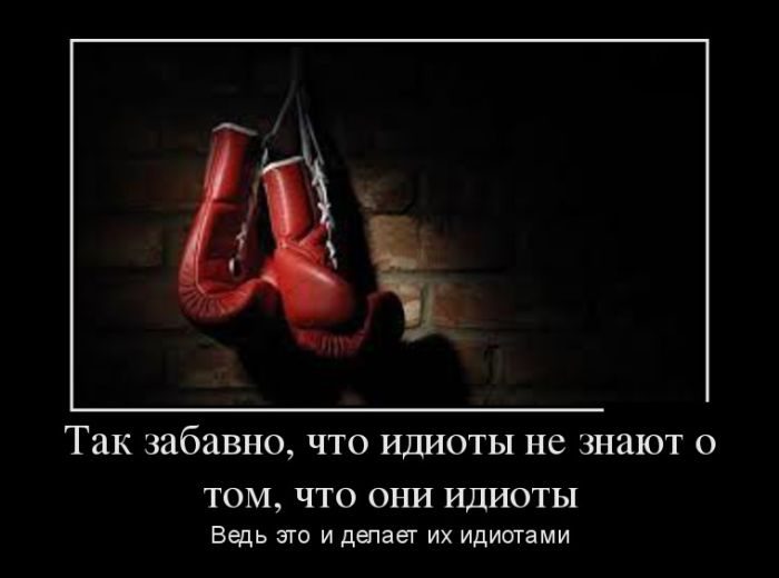 Все прикольные Демотиваторы. Шикардос!