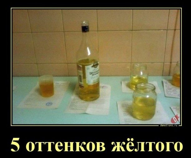 Все прикольные Демотиваторы. Шикардос!