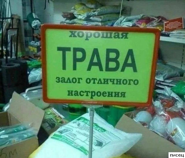 Вот как надо рекламировать свои товары и услуги. Учись!