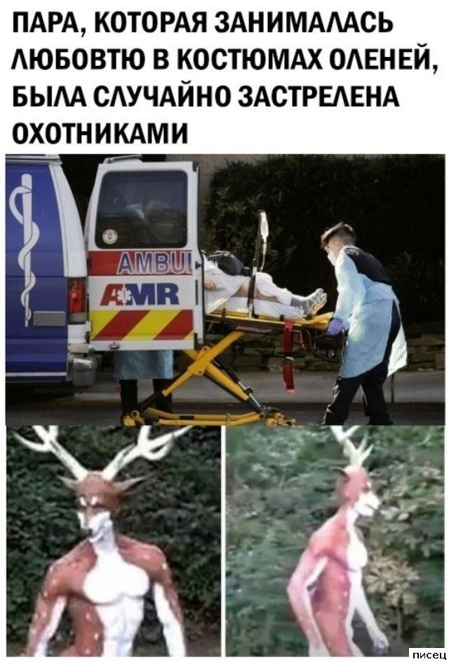 Все приколы Августа. Великолепно!