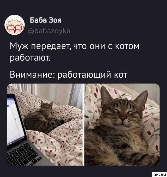 25 августовских приколов из соцсетей. Ржака дня!