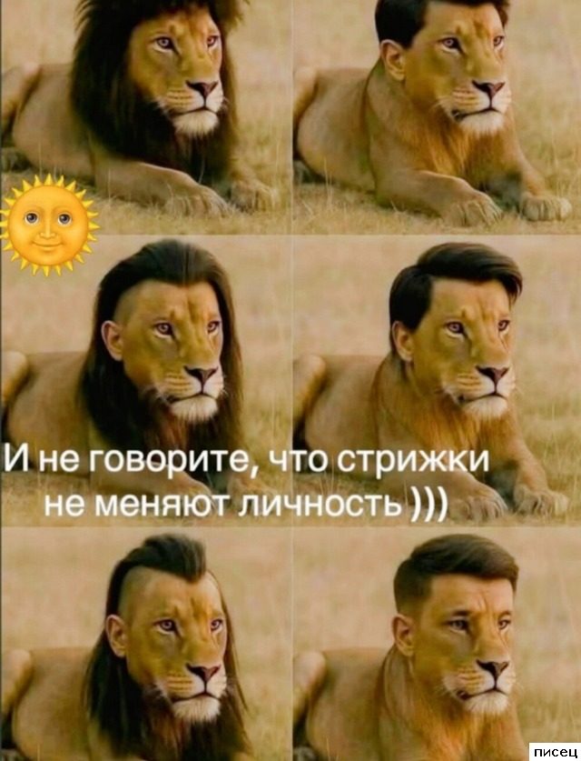 Смехотерапия Писца. Уморительная серия!