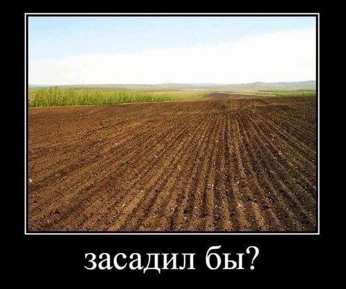 Прикольные Демотиваторы. Шик!